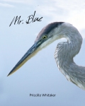 Mr. Blue Front Cover